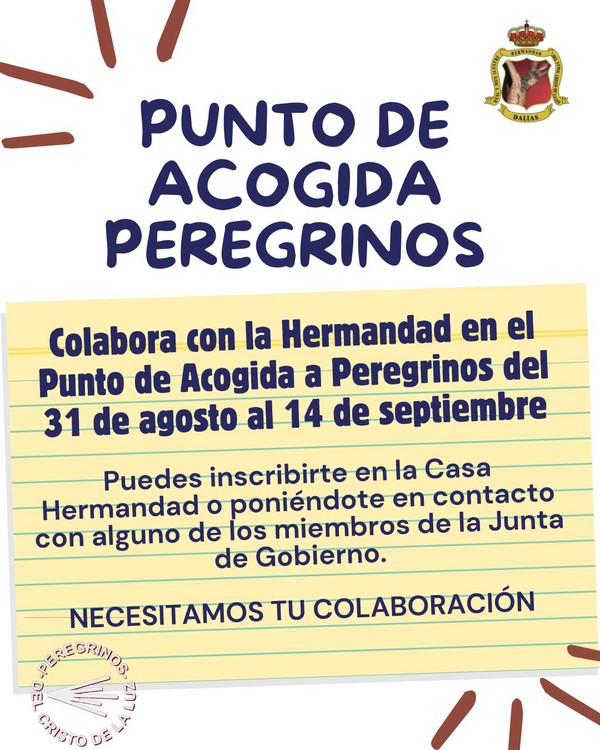 Punto de acogida 2024