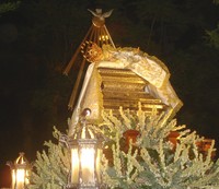 FESTIVIDAD DE LA DIVINA INFANTITA