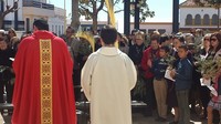 DOMINGO DE RAMOS EN DALÍAS