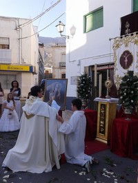 CELEBRACIÓN DEL DÍA DEL CORPUS EN DALÍAS - 2016